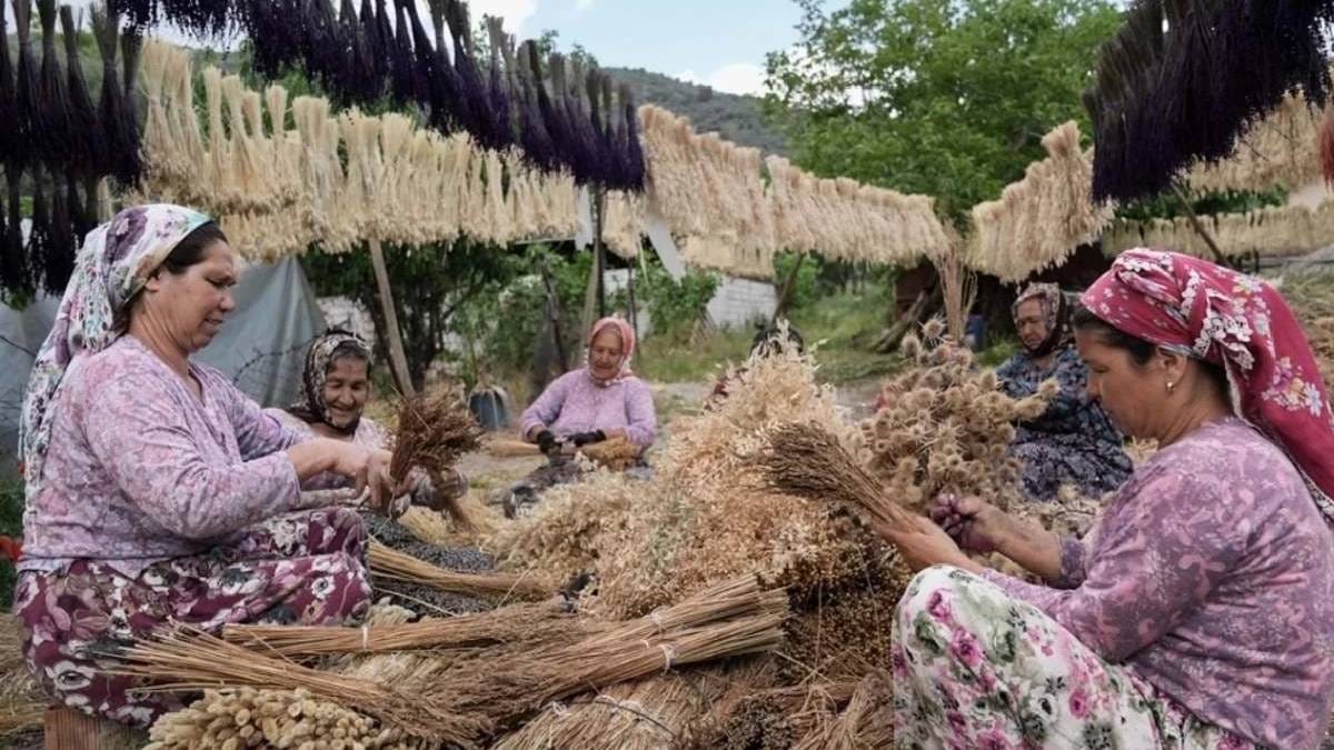 Köye dönüş için teşvik: Yeni destek ve kalkınma adımları yolda