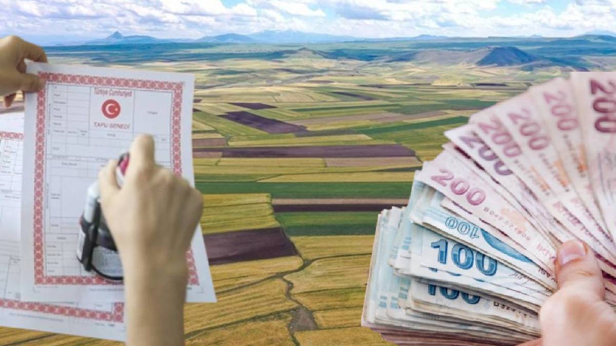 Ev, arsa ve iş yeri sahipleri için son 3 gün: Geciken faiz ödeyecek