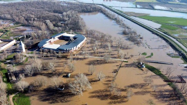 Edirne'de 'kırmızı alarm': Tunca Nehri taştı, Sarayiçi su altında kaldı
